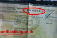 Letak Nomor Seri STNK Motor Ternyata Sering Tertukar dengan Nomor Ketetapan Pajak
