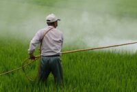 Bahaya Racun Pestisida di Lingkungan Pertanian terhadap Sistem Saraf Manusia