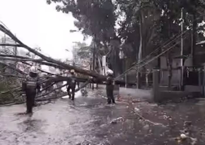 Pohon Tumbang dan Banjir Tutup Jalan Caringin Bandung, Kabel Listrik Tertimpa, Warga Diimbau Waspada