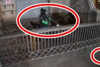 Warga Gagalkan Aksi Pencurian Motor di Cibabat Cimahi, Pelaku Berusaha Buka Gembok Pagar Rumah