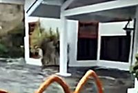 Tanggul Sungai Jebol, Banjir Rendam Rumah Warga dan Seret 2 Motor di Mekarahayu Margaasih Bandung