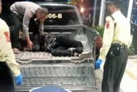 Polsek Baleendah Evakuasi Korban Lakalantas di Jalan Raya Banjaran ke RSUD Welas Asih Polsek Baleendah Evakuasi Korban Lakalantas di Jalan Raya Banjaran ke RSUD Welas Asih